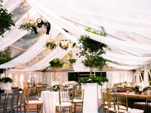 Wedding Tent with Ceiling Drape